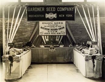 (CORN AND AGRICULTURAL PRODUCE) Archive with more than 135 photographs relating to the cultivation of corn and